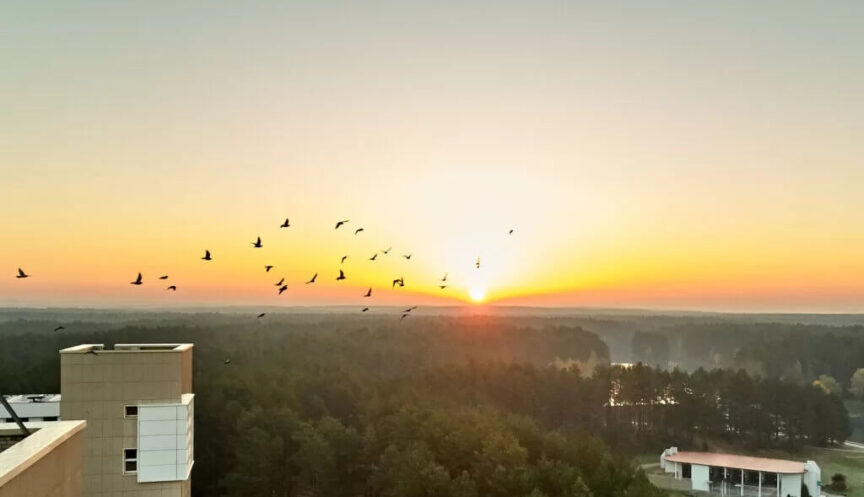 О санатории