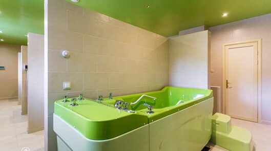 Лечебные факторы